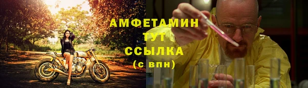 прущие грибы Володарск