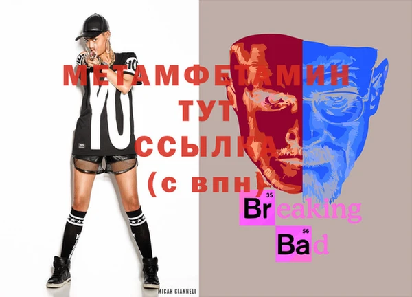 прущие грибы Волоколамск