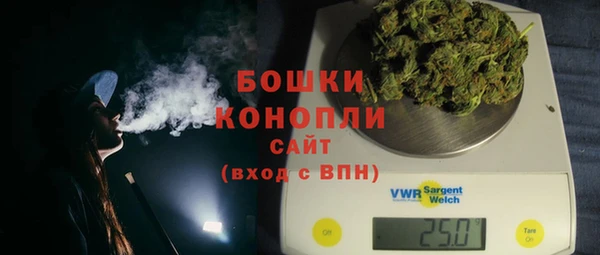прущие грибы Волоколамск