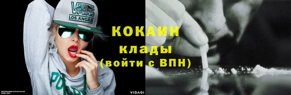 прущие грибы Волоколамск