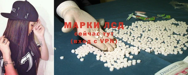прущие грибы Волоколамск